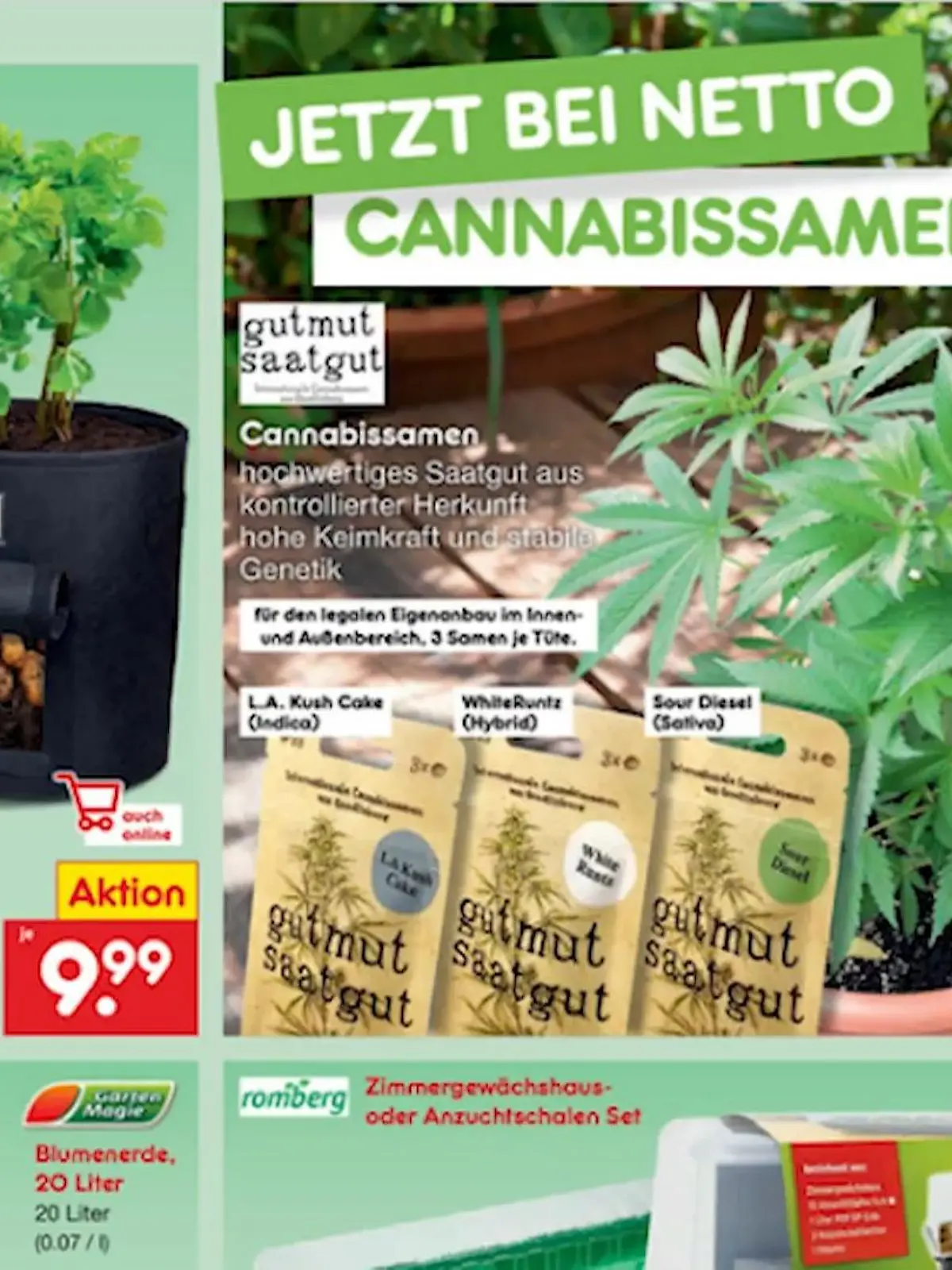 Bild zu: "Discounter Netto verkauft jetzt Cannabis-Samen"