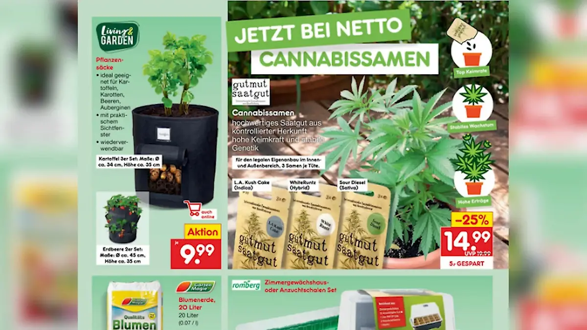 Discounter Netto verkauft jetzt Cannabis-Samen Ab sofort im Sortiment