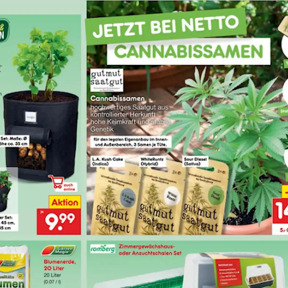wildbienen saatgut BIO Wildblumen Saatgut – Vom Reiter
