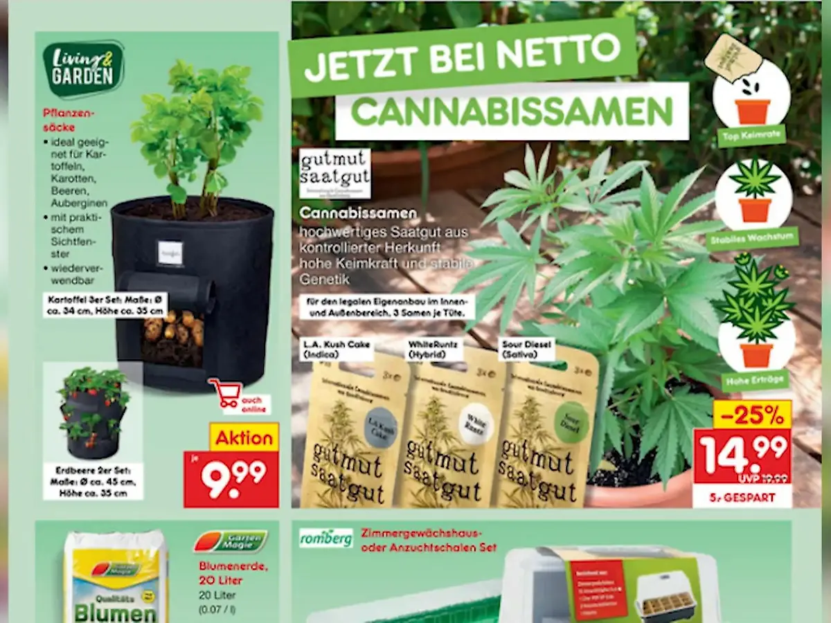 Ab sofort im Sortiment: Discounter Netto verkauft jetzt Cannabis-Samen