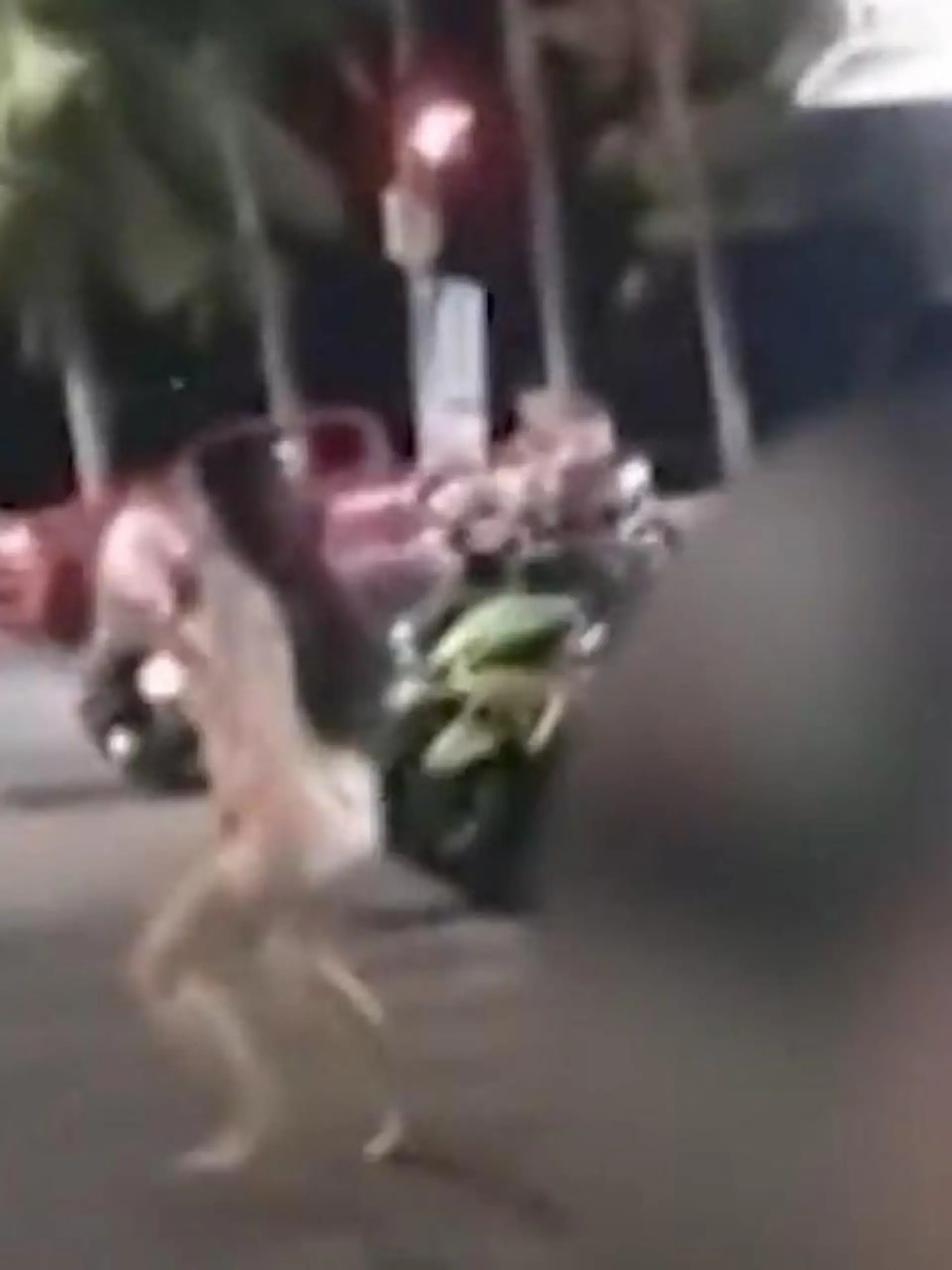 Prostituierte jagen Sex-Touri durch die Straßen – nackt! 