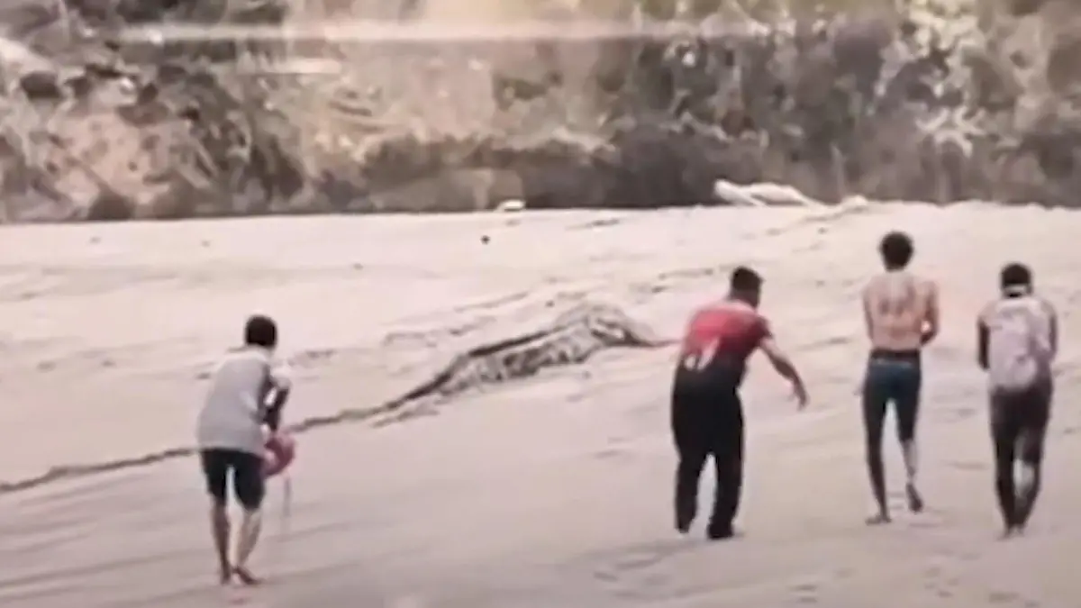 Vier-Meter-Monster im Badeparadies - Dorfbewohner fangen Riesen-Krokodil Gefesselt und verhaftet