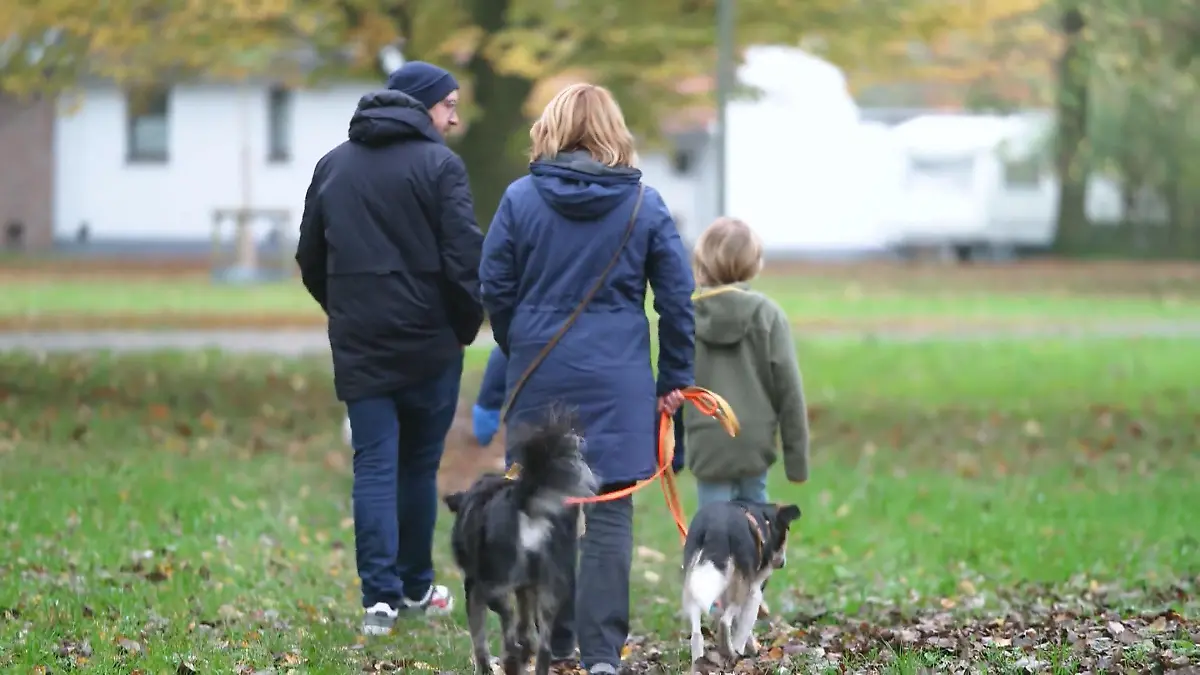 Rumänien-Welpe sucht Vertrauen Pflegestelle mit Herz