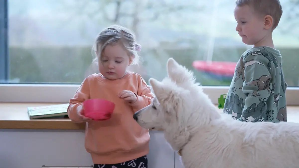 Elea hält die Zellers auf Trab Familienzuwachs auf vier Pfoten