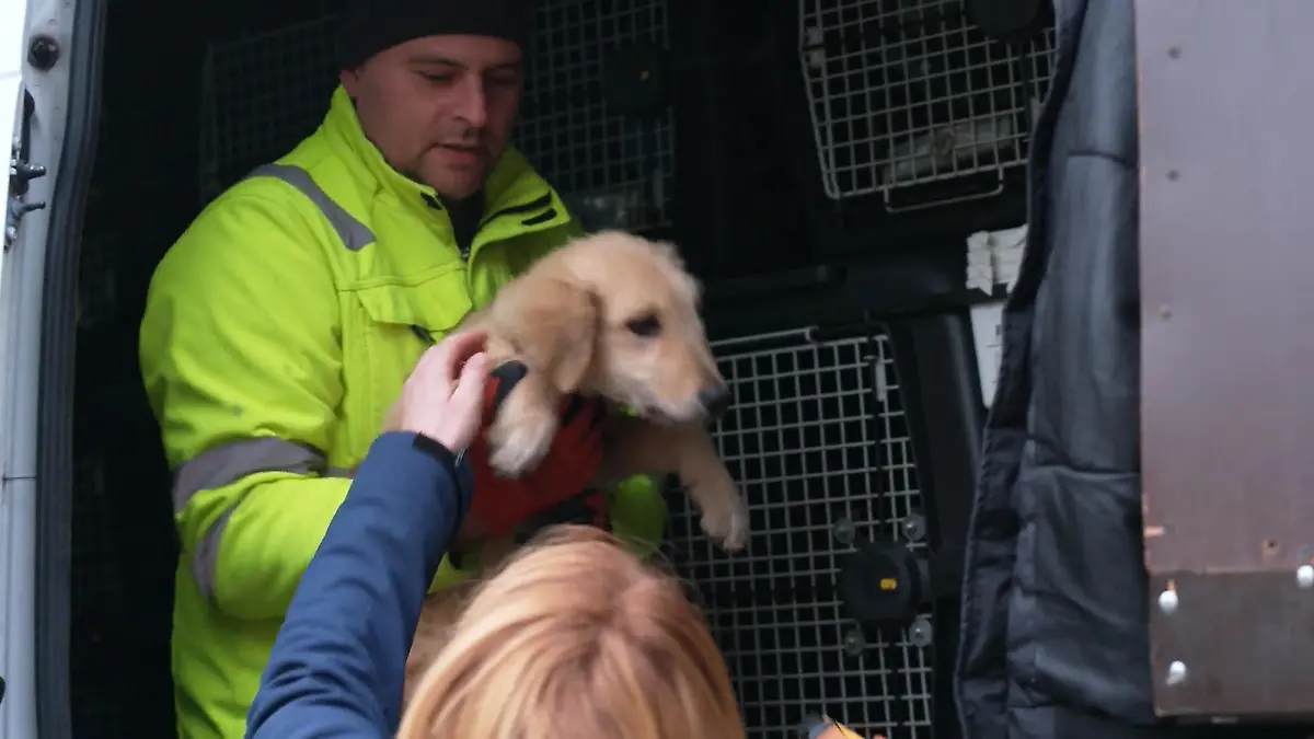 Jabba zieht ein – klappt das Eingewöhnen? Ankunft aus Rumänien