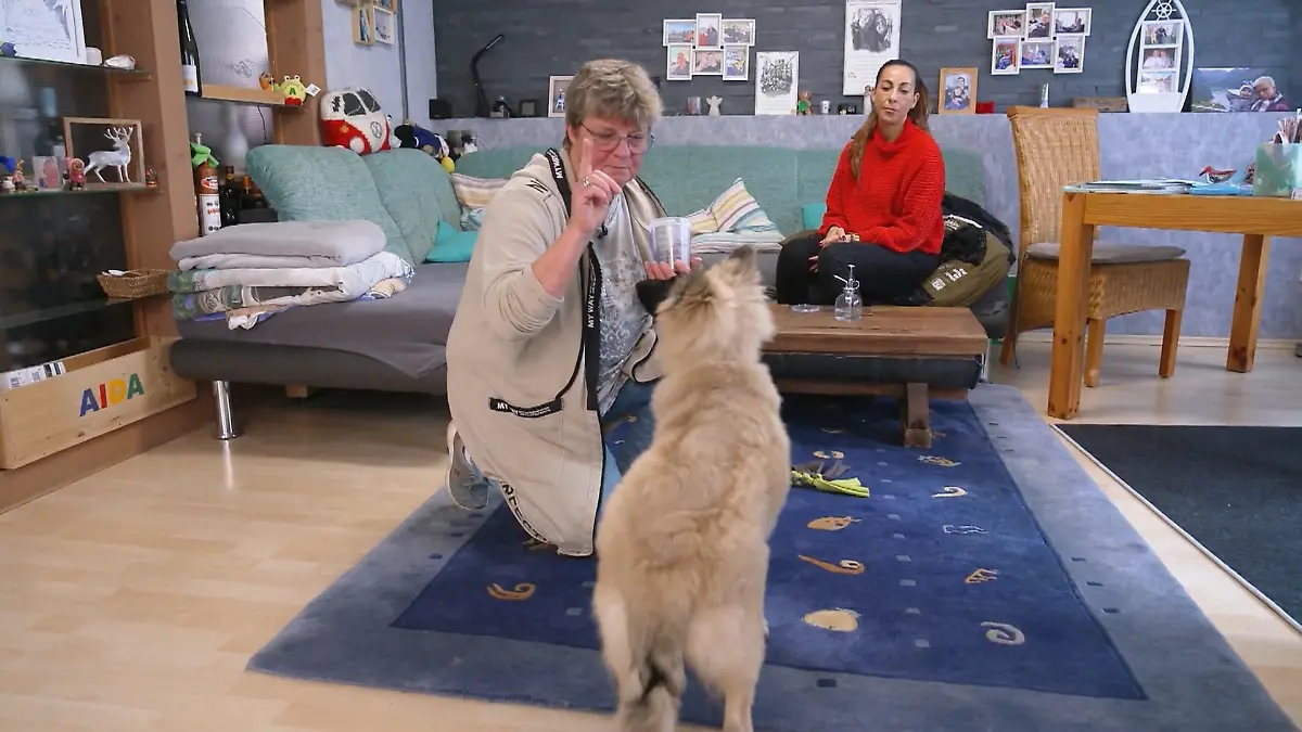 Wenn Csilla nicht dran ist, wird’s grob Aufmerksamkeit als Auslöser