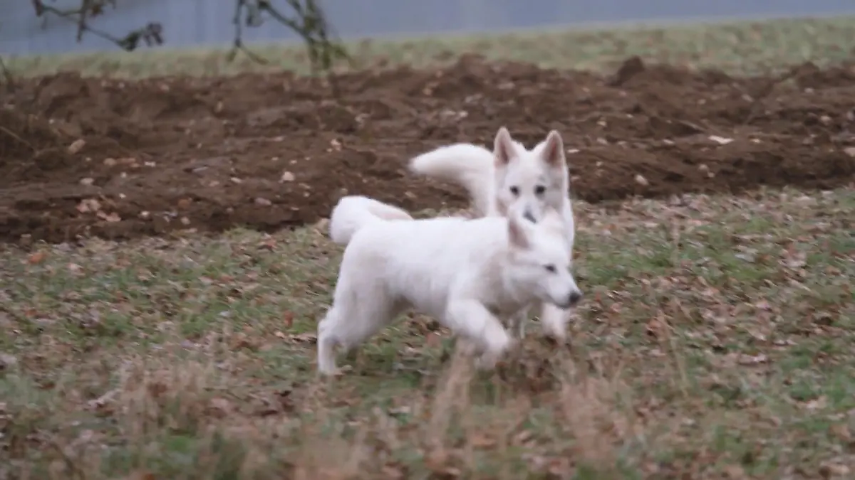 Spielzeit mit Grace – und zuhause läuft’s Elea ist angekommen