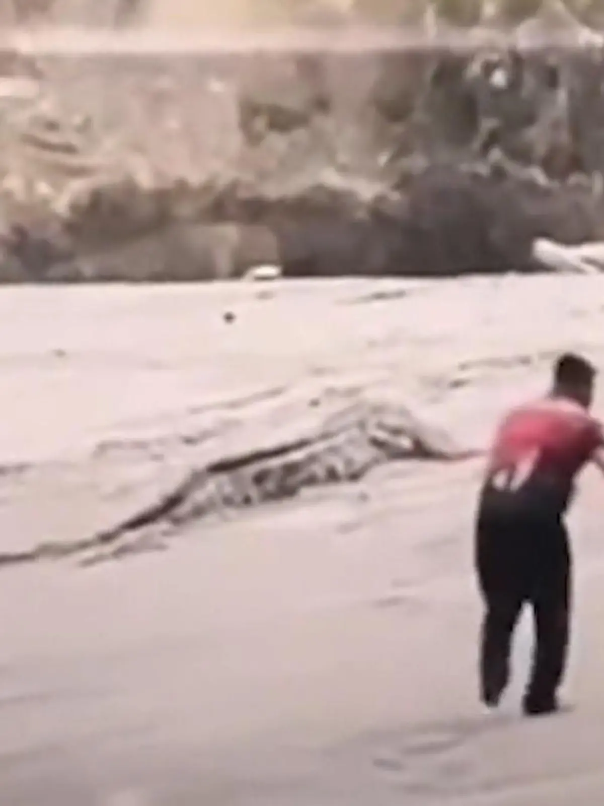 Bild zu: "Vier-Meter-Monster im Badeparadies – Dorfbewohner fangen Riesen-Krokodil"