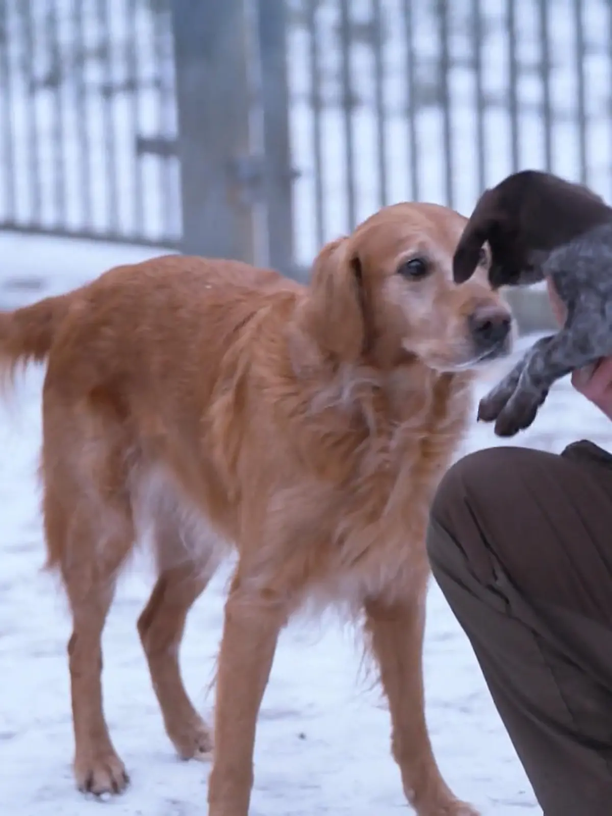 Bild zu: "Mara zieht ein – Emma bleibt skeptisch"