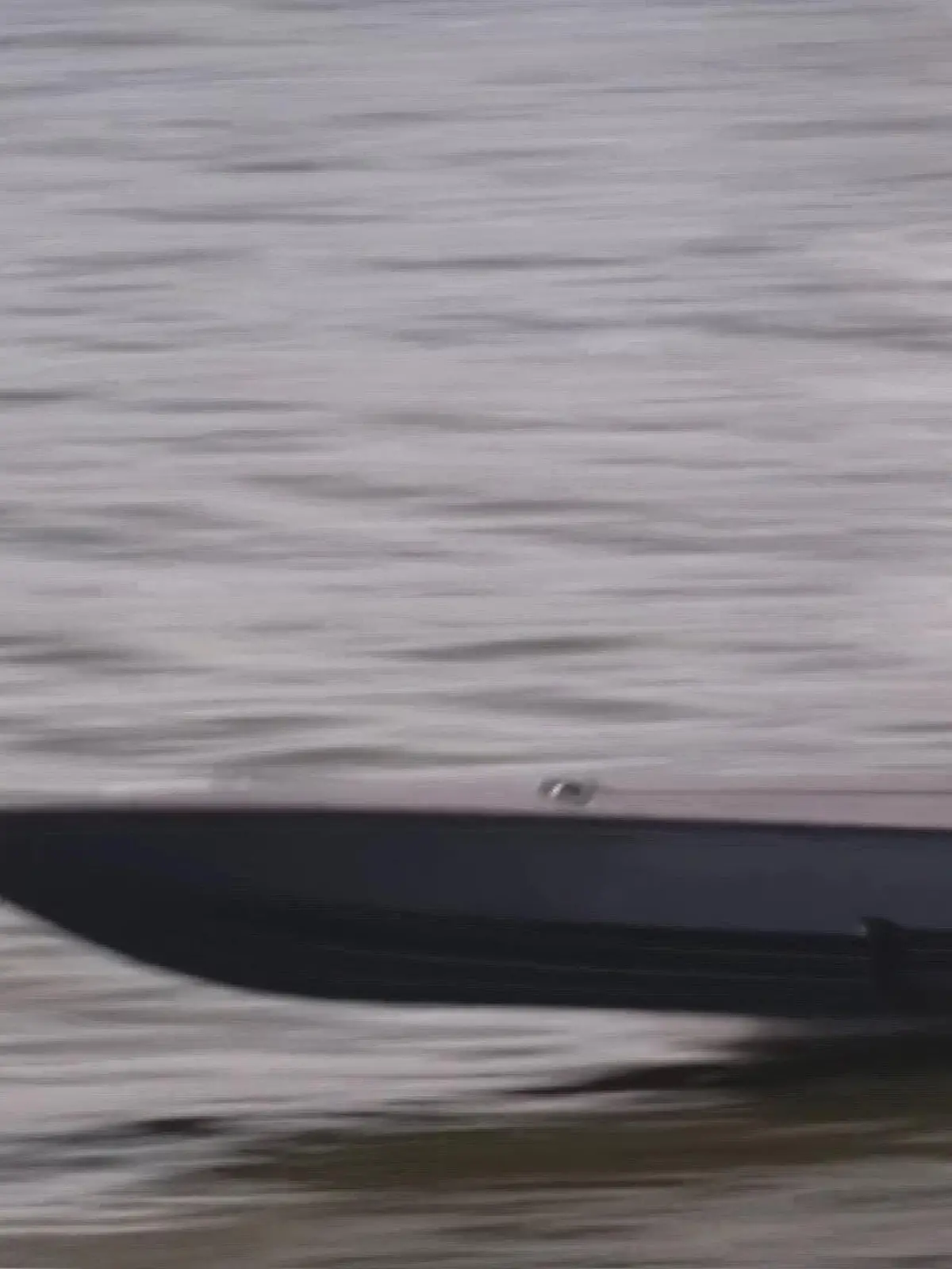 Bild zu: "Seedrohne wird in Hamburg gebaut"