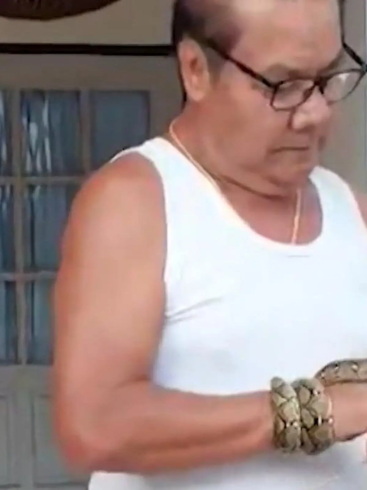 Python um die Hand gewickelt – Mann rettet Eichhörnchen vor Reptil