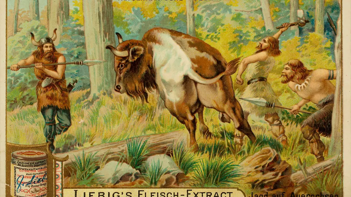 Geschichte / Germanen. - "Jagd auf Auerochsen". - Farblithographie, anonym, um 1900. Sammelbildchen der Comagnie Liebig's Fleisch-Extract. Aus einer Serie: Germanische Bräuche. Privatsammlung.