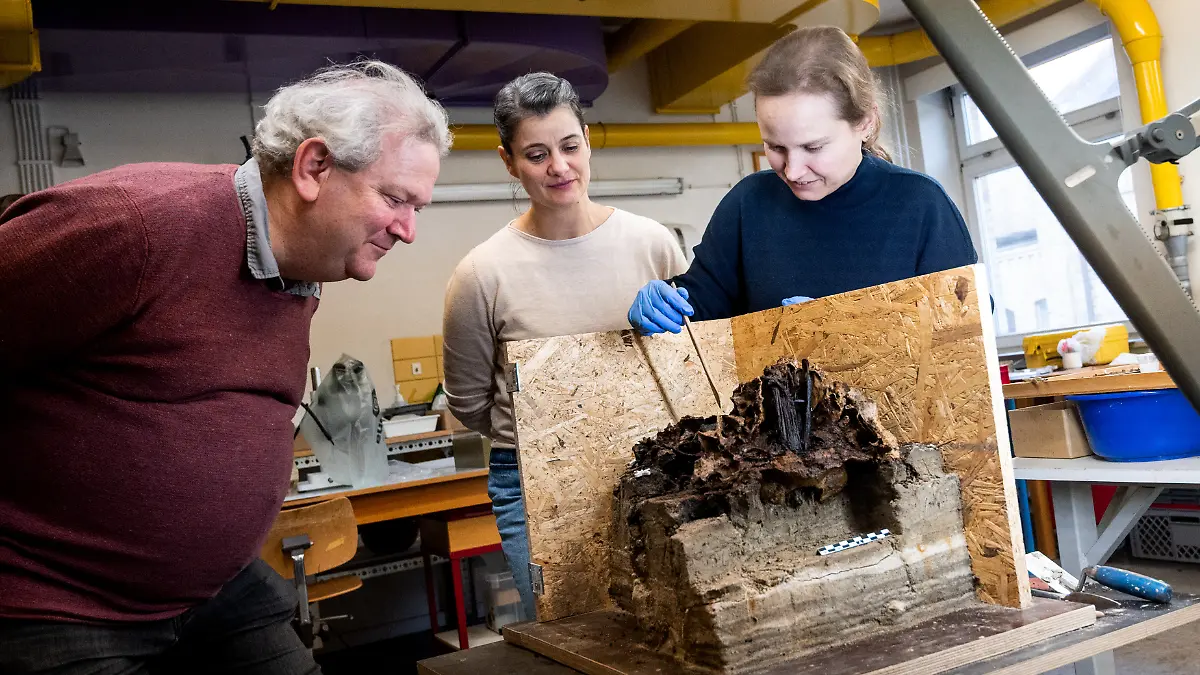 Harald Lübke (l-r), Archäologe, Corinna Mayer, Restaurateurin, und Natascha Kipke, Archäozoologin, schauen sich in der Restaurierungswerkstatt vom Schloss Gottorf einen rund 10.500 Jahre alten Auerochsenschädel an. Der Fund aus dem Duvenseer Moor mit einem Holzpflock gibt Archäologen Rätsel auf.
