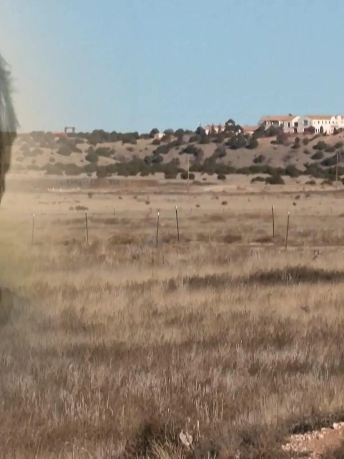 Bild zu: "Ließ Jeffrey Epstein hier zwei Mädchen vergraben?"