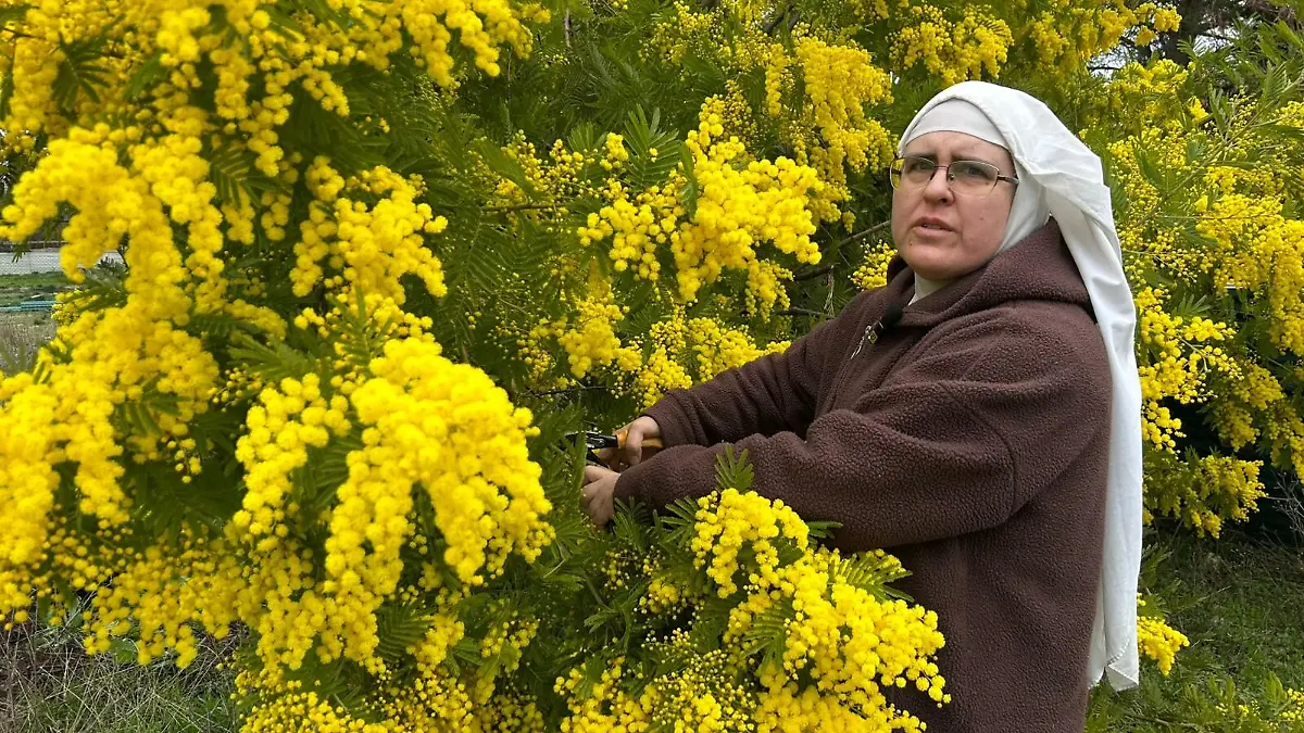 Dieses vom Sprecher einer Gruppe von Nonnen in Spanien zur Verfügung gestellte undatierte Bild zeigt Schwester Paloma im Garten des Klosters. Eine Gruppe von insgesamt sieben Klarissen hat in Spanien ihren fast zweijährigen Kampf um ihr Zuhause verloren. (Bestmögliche Qualität.) (zu dpa «Rebellische Nonnen werden in Spanien aus Kloster vertrieben») +++ dpa-Bildfunk +++
