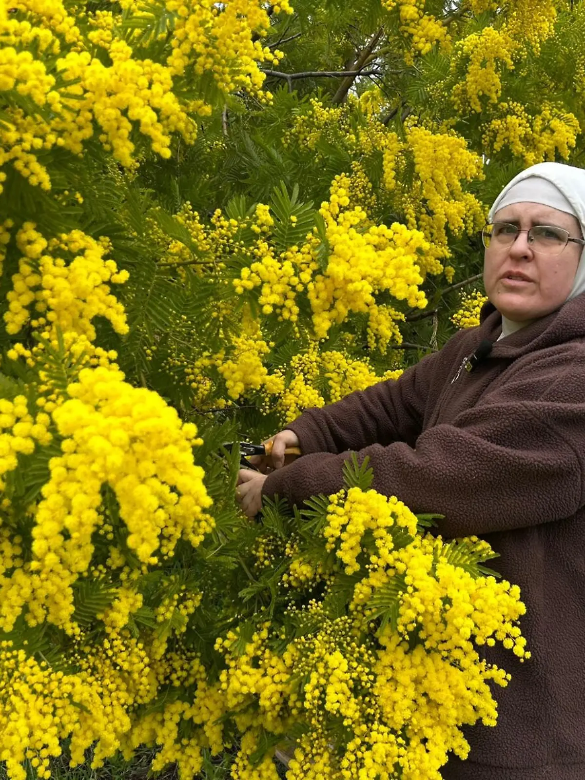 Dieses vom Sprecher einer Gruppe von Nonnen in Spanien zur Verfügung gestellte undatierte Bild zeigt Schwester Paloma im Garten des Klosters. Eine Gruppe von insgesamt sieben Klarissen hat in Spanien ihren fast zweijährigen Kampf um ihr Zuhause verloren. (Bestmögliche Qualität.) (zu dpa «Rebellische Nonnen werden in Spanien aus Kloster vertrieben») +++ dpa-Bildfunk +++