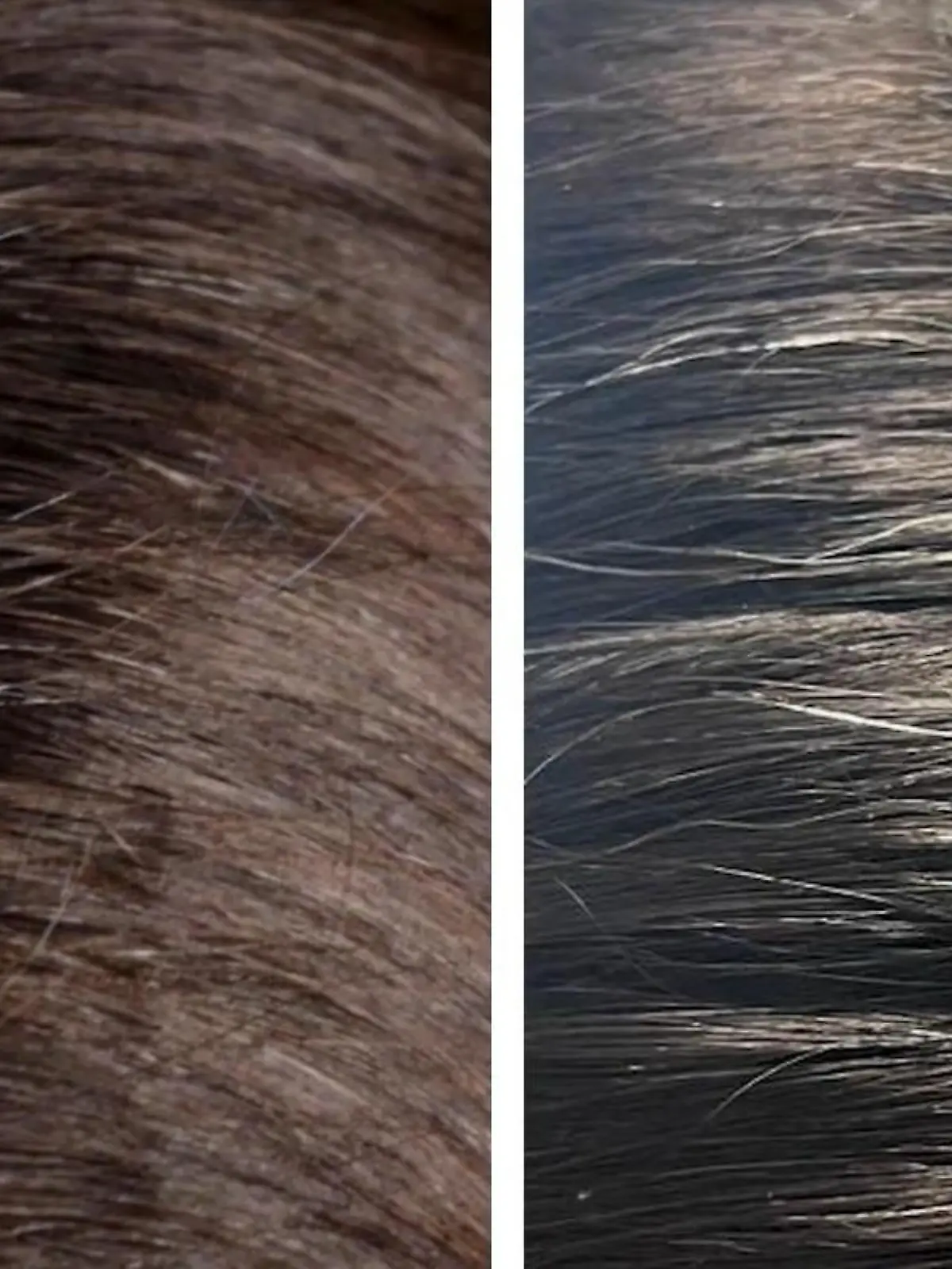 Bild zu: "Diese Drogerieprodukte kaschieren graue Haare am besten"