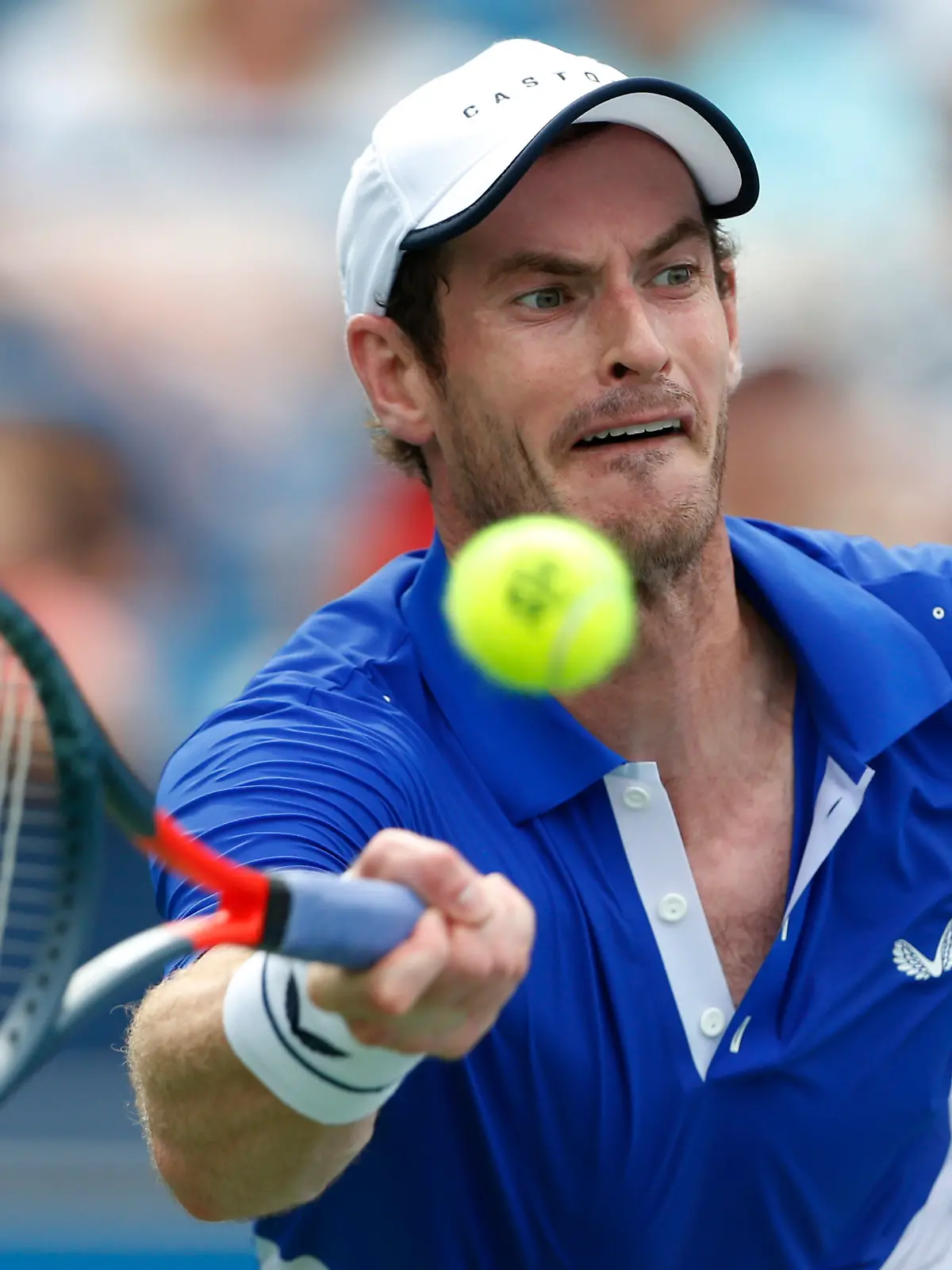 Andy Murray beim Tennis