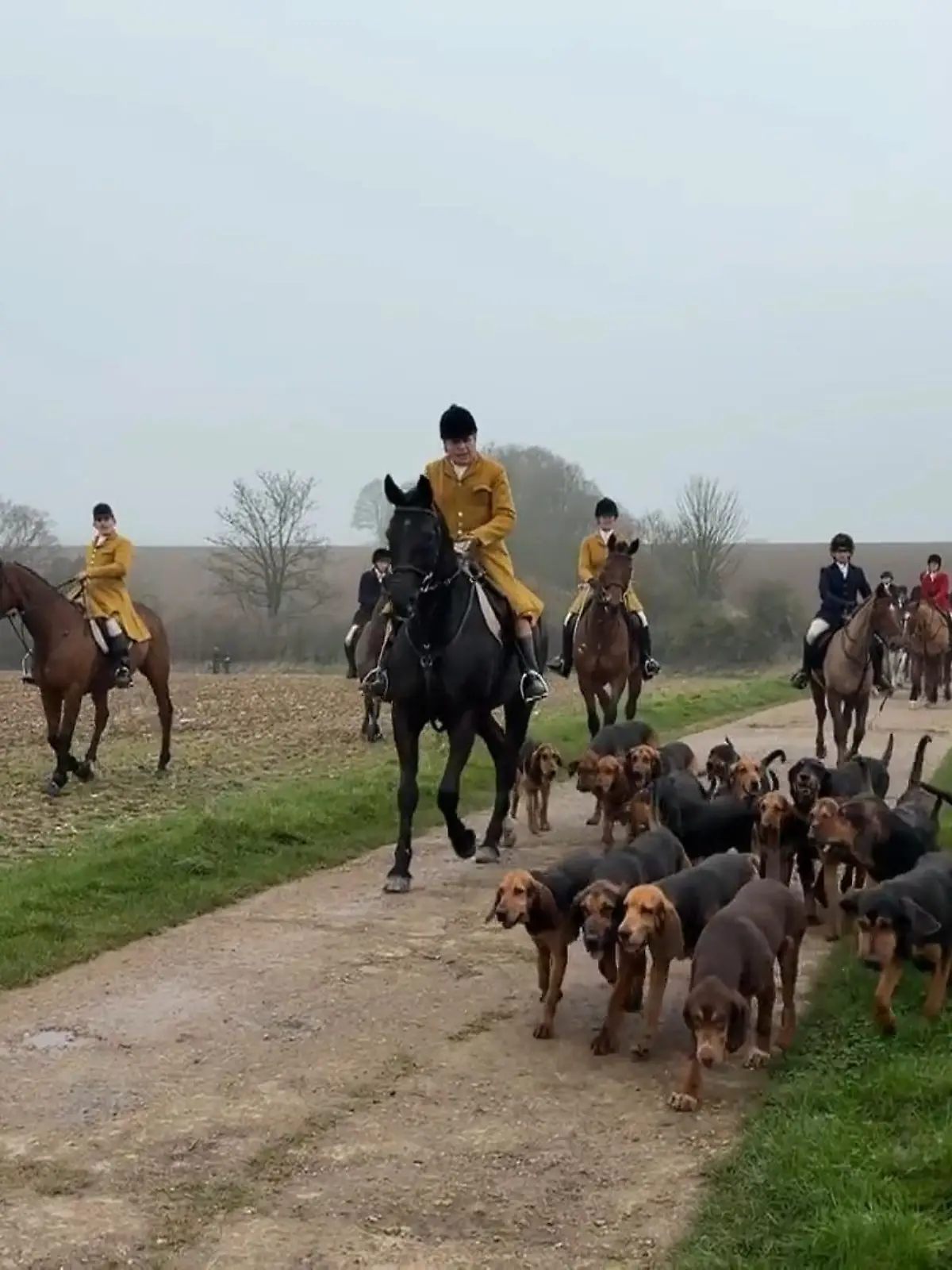 Menschliche Fuchsjagd in England