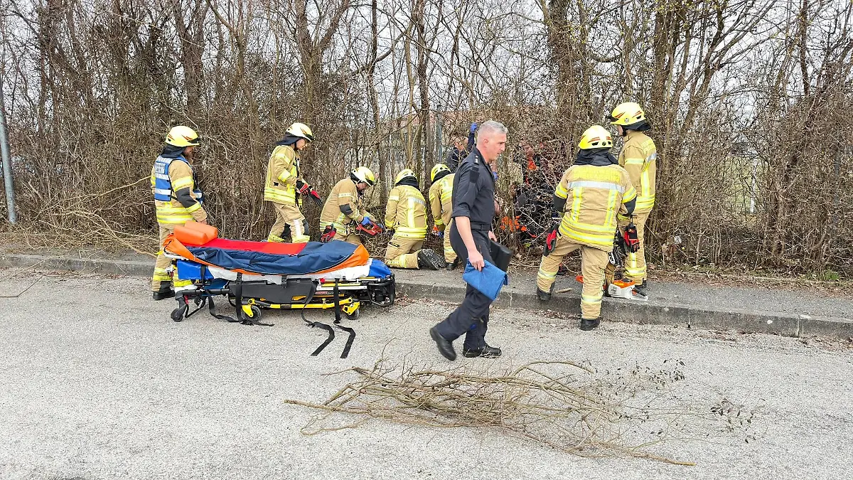 Kind von Ast durchbohrt 