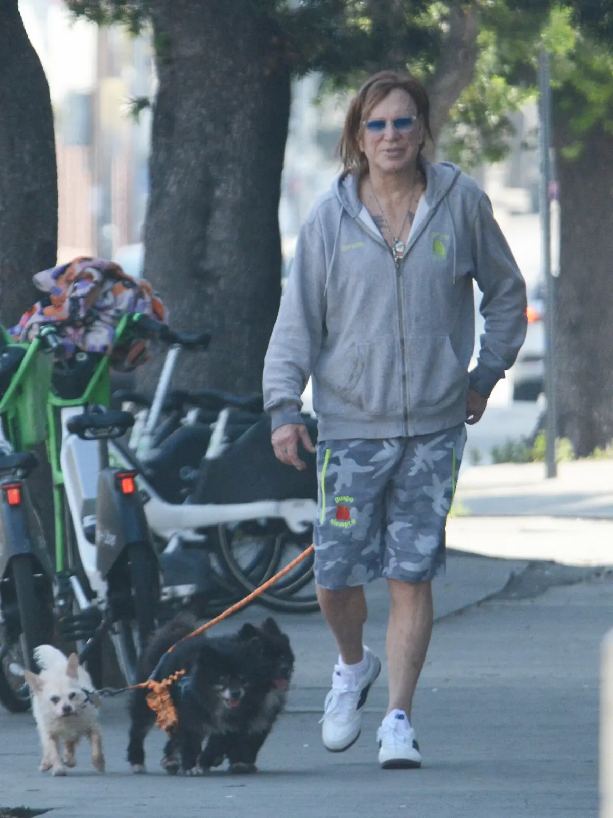 Bild zu: "59.000 Dollar Schulden! Film-Ikone Mickey Rourke wird von Vermieter vor die Tür gesetzt"