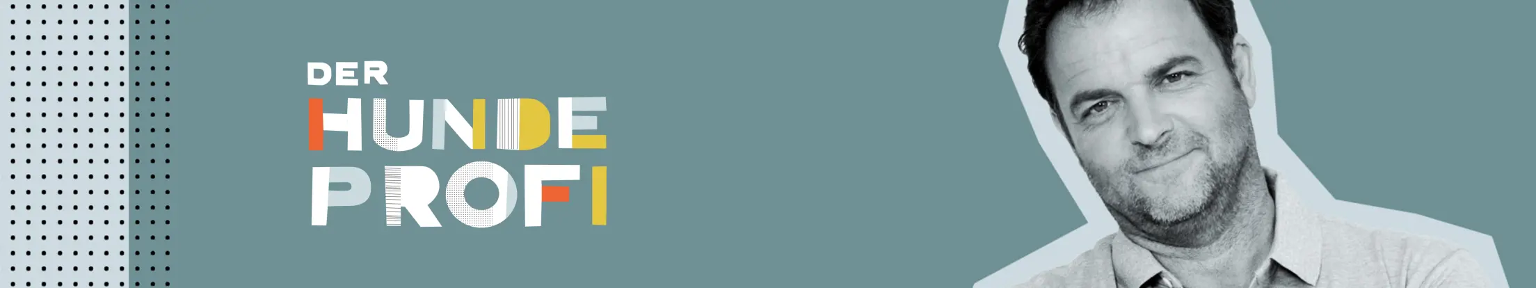 Der Hundeprofi Banner Desktop