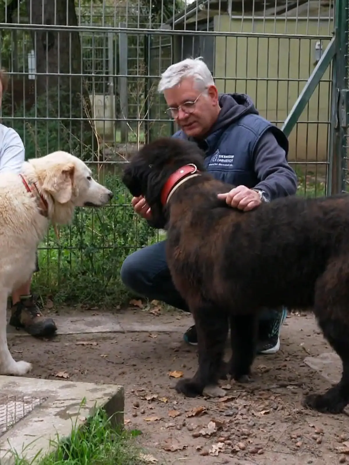 Bild zu: "Willi und Bruno: Finden die betagten Unvermittelbaren doch noch ihr Glück?"