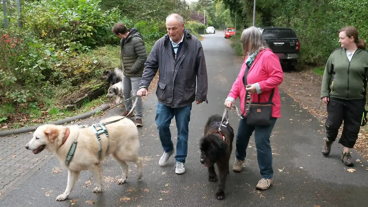 Tatjana und Thomas lernen Willi und Bruno kennen – beginnt jetzt ihr neues Glück? Chance für Willi & Bruno?