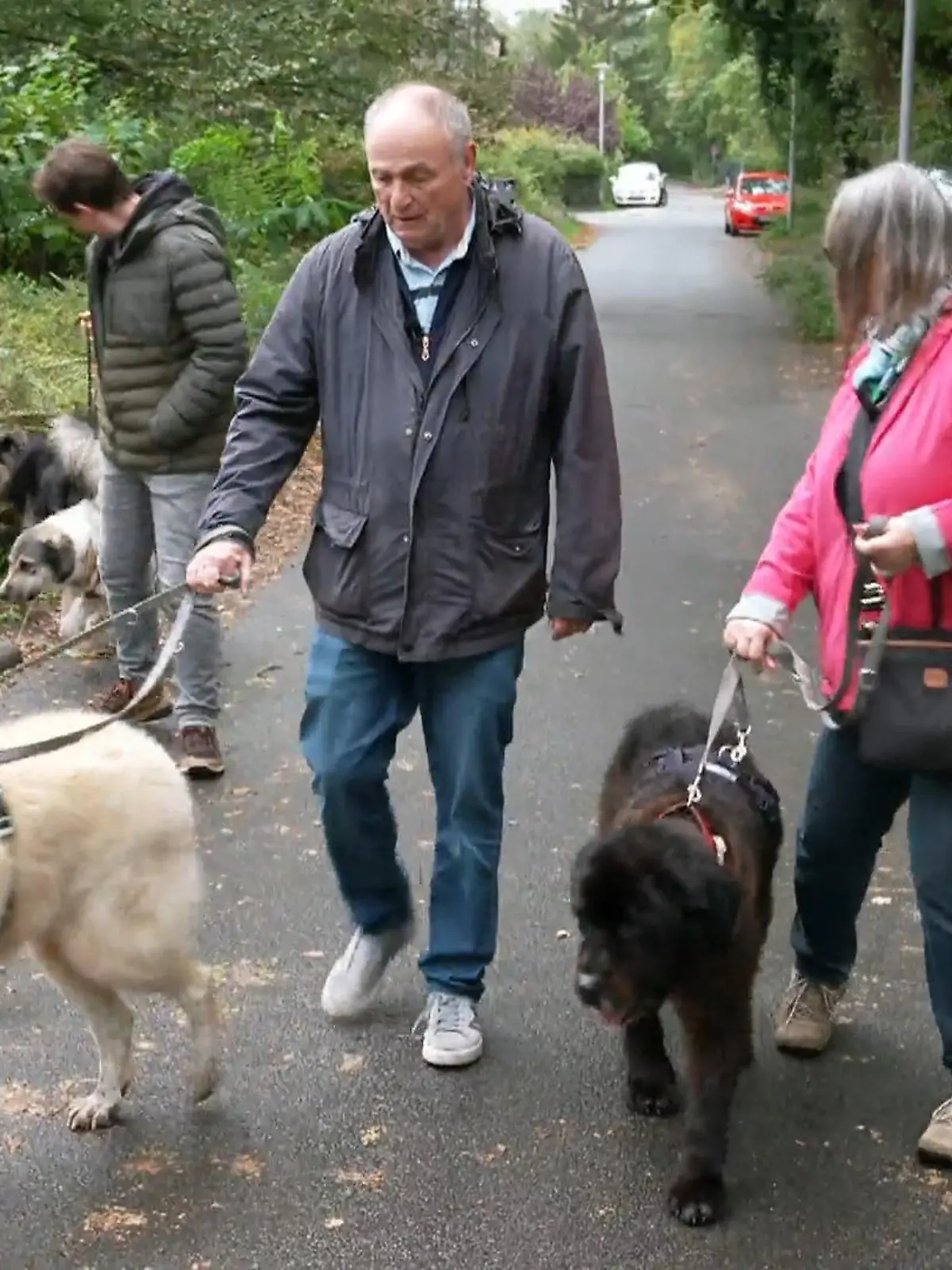 Bild zu: "Tatjana und Thomas lernen Willi und Bruno kennen – beginnt jetzt ihr neues Glück?"