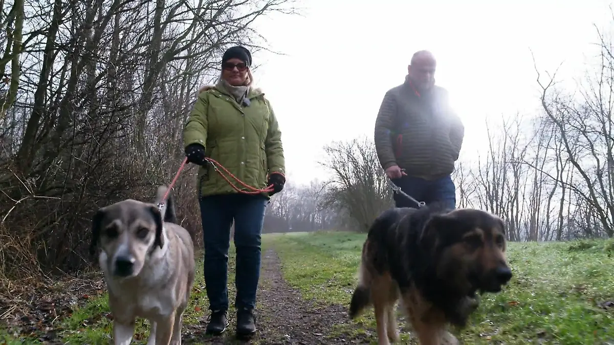 Zuwachs fürs Rudel: Findet Willi bei Tatjana und Thomas endlich sein Glück? Willi zieht ein