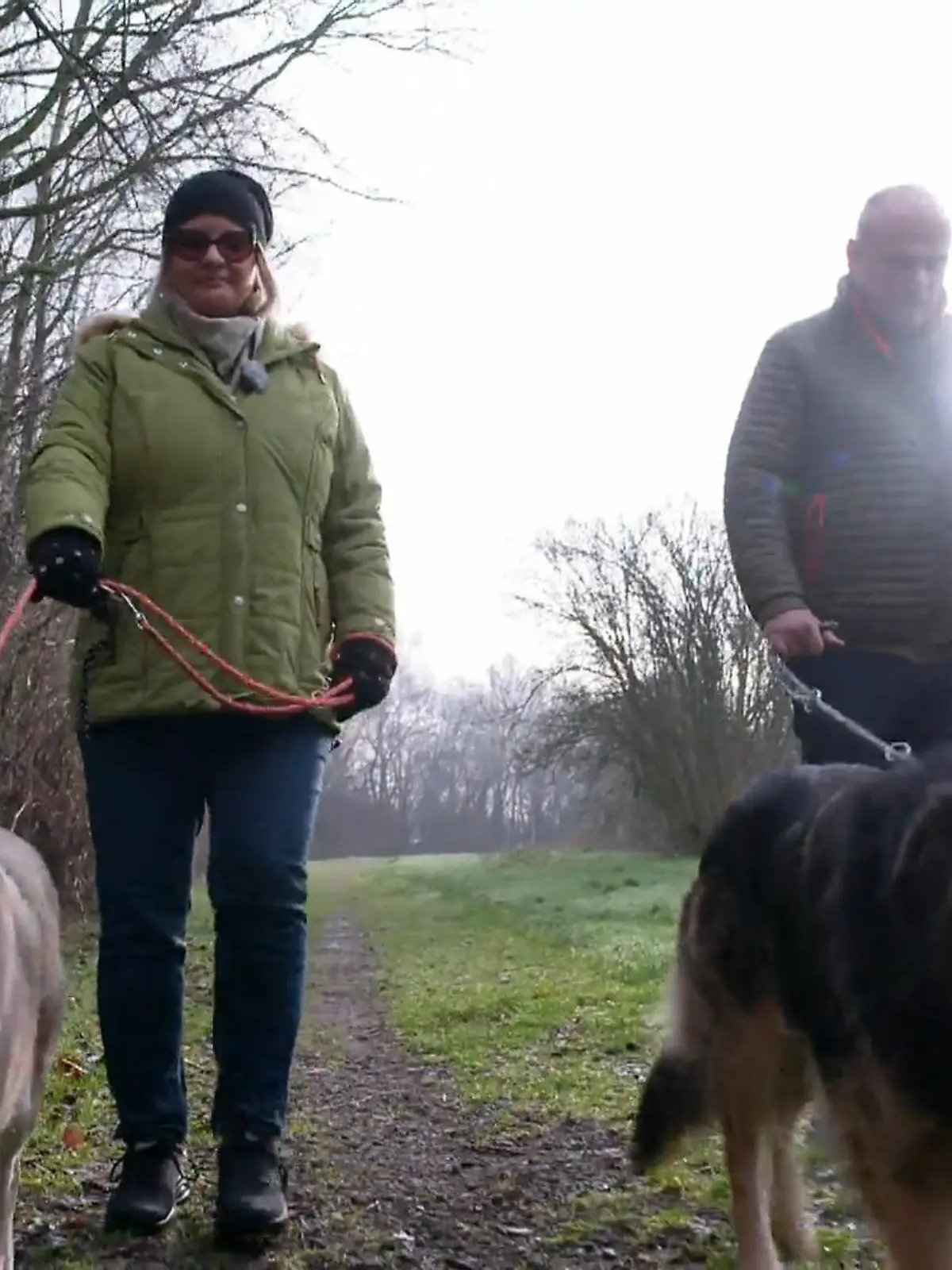 Bild zu: "Zuwachs fürs Rudel: Findet Willi bei Tatjana und Thomas endlich sein Glück?"