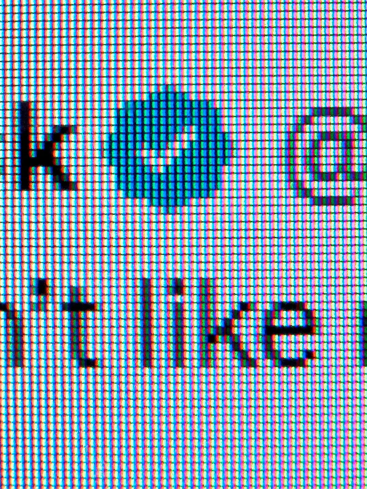 Ein blauer Haken verifiziert den Twitter-Acoount von E. Musk als echt. Twitter hat mit der nächsten Neuerung bei seinen Verifikations-Symbolen den Nutzen der einst hilfreichen Zeichen weiter entwertet. Der Unterschied zwischen den früher nach einer Prüfung an prominente Nutzer vergebenen Häkchen und den neuen Bezahl-Symbolen ohne eine echte Verifizierung ist in der Nacht zum 03.04.2023 komplett verwischt worden. +++ dpa-Bildfunk +++