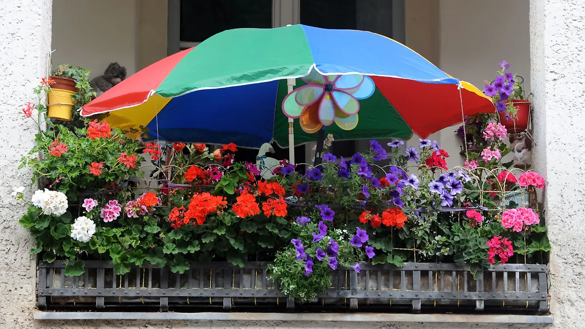 So schön bunt hier: In der Auswahl der Pflanzen sind Mieter nicht limitiert, solange sie Rücksicht auf die Nachbarn nehmen.