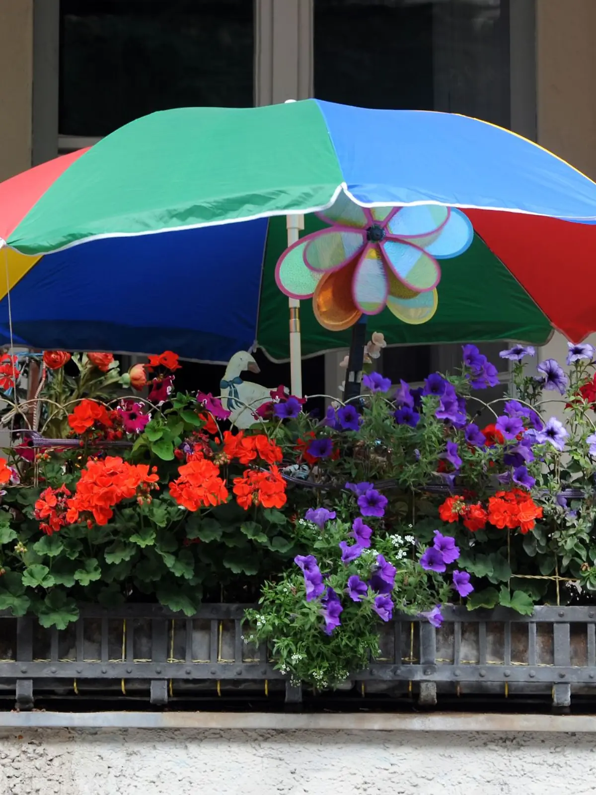So schön bunt hier: In der Auswahl der Pflanzen sind Mieter nicht limitiert, solange sie Rücksicht auf die Nachbarn nehmen.