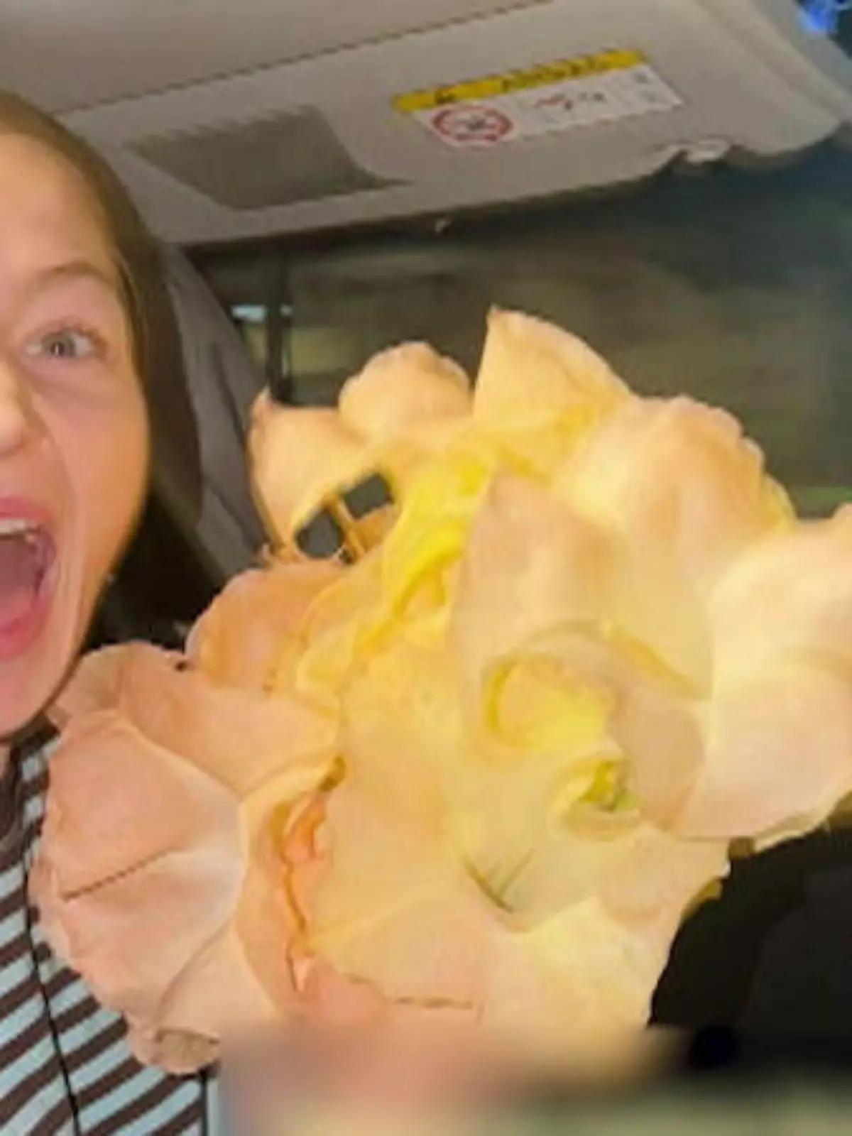 Bild zu: "Hochzeitsgäste beinahe vergiftet – weil Braut Todesblume pflückt"