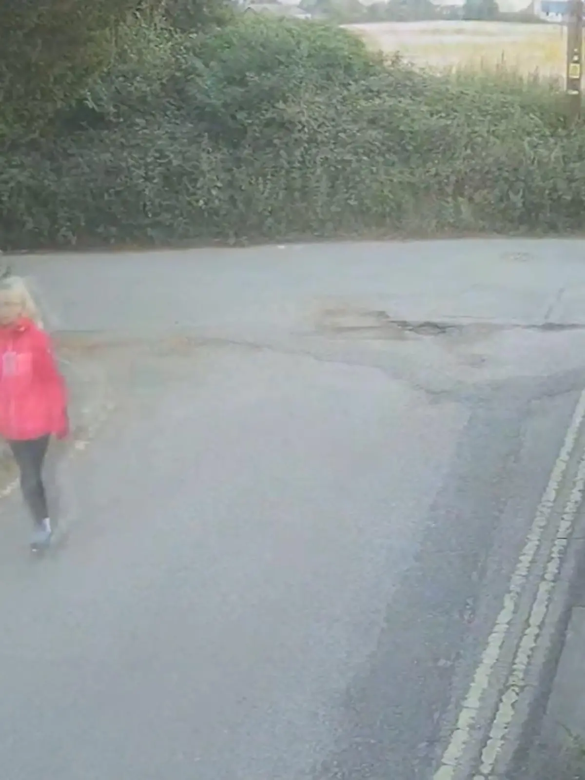 Bild zu: "Engländerin beim Gassigehen ermordet"