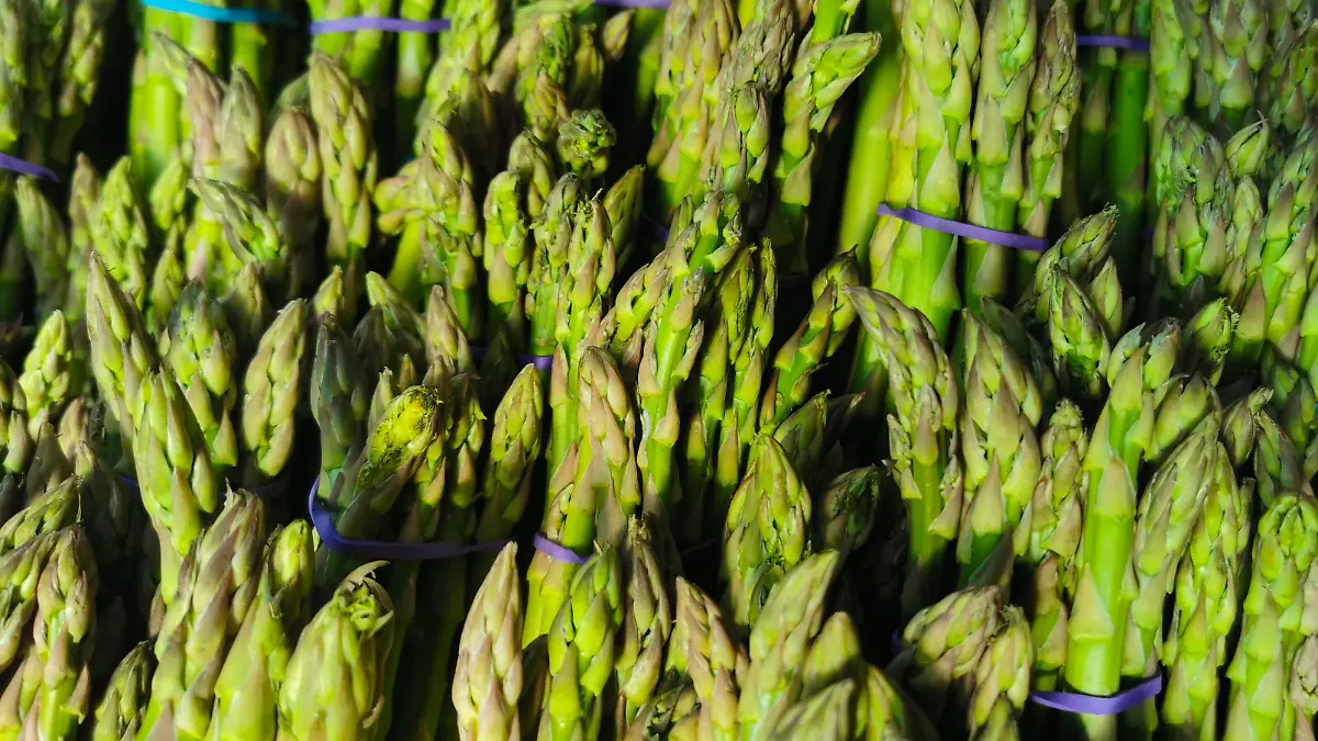Asparagus at Stary Kleparz open air market place in Krakow, Poland on March 6th, 2026. (Photo by Beata Zawrzel/NurPhoto)