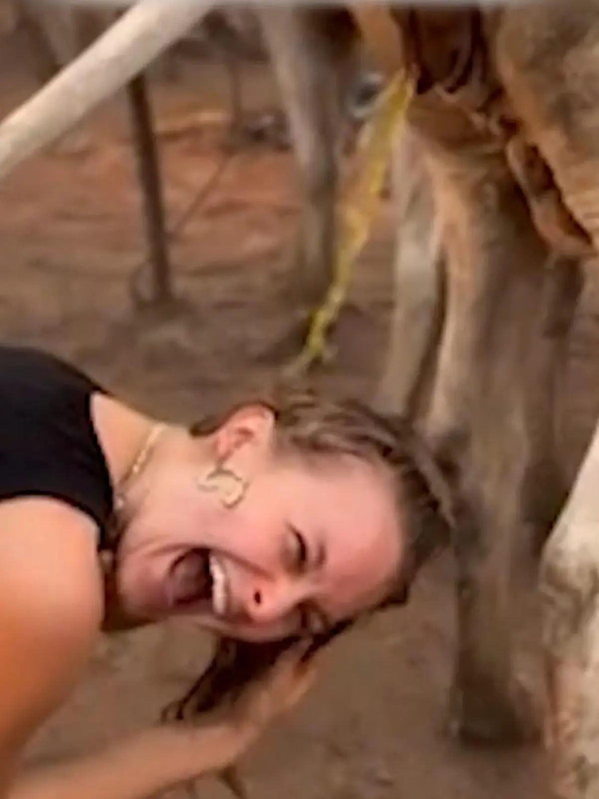 Bild zu: "Haare waschen mit Kuh-Urin? DIESE Influencerin lässt sich dafür extra anpinkeln"