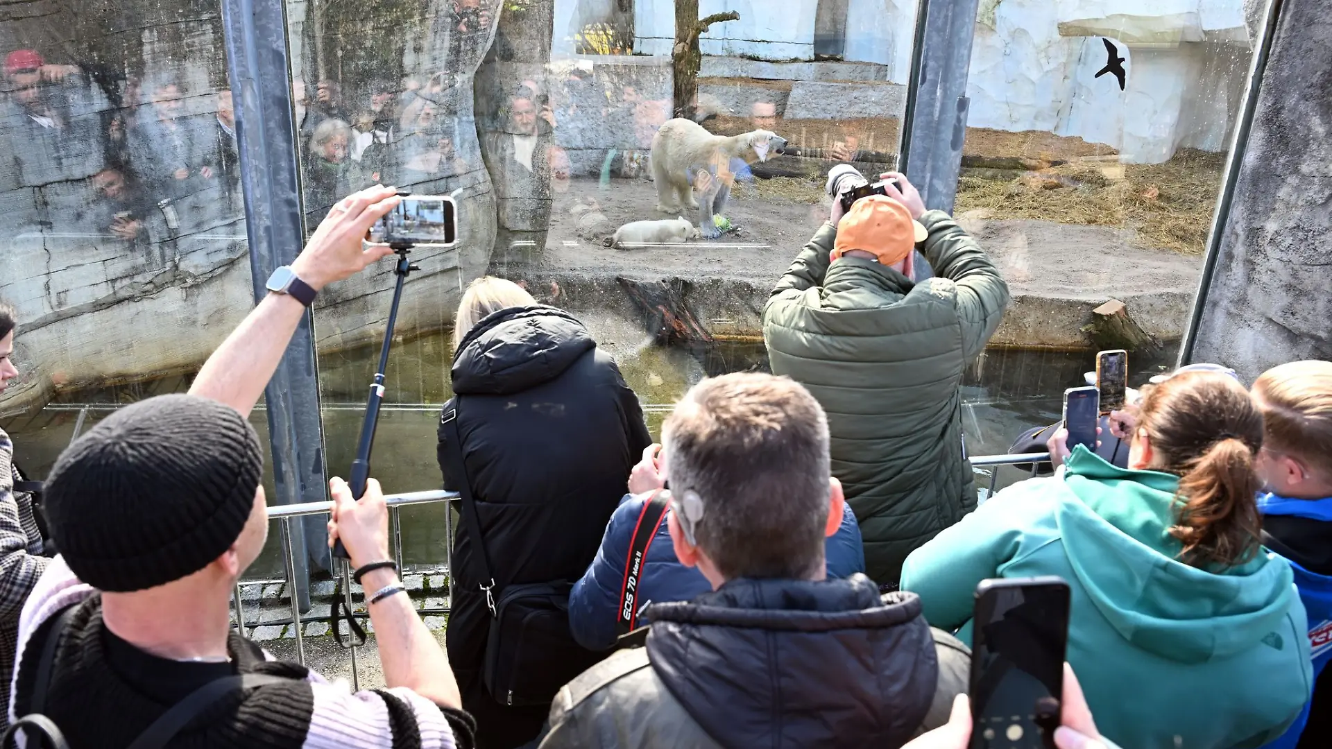 Im Karlsruher Zoo wurde in der Nacht Müll in etliche Gehege geworfen. (Archivbild)