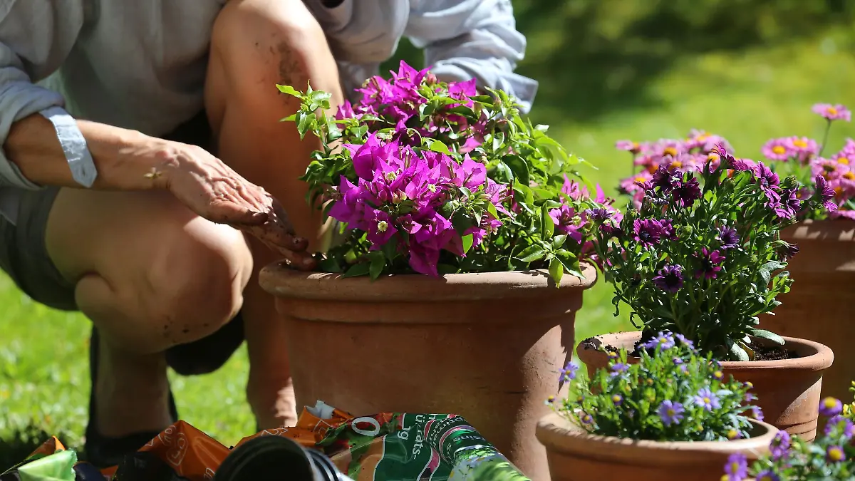 Wie und womit wir gärtnern, kann für das Klima einen Unterschied machen.