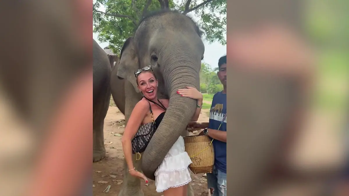 Grabsch-Alarm bei Reality-Star! Rüssel geht plötzlich auf Wanderschaft Dickhäuter auf Tuchfühlung