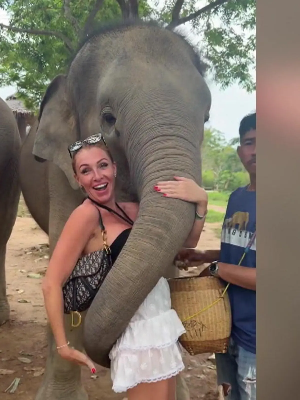 Bild zu: "Grabsch-Alarm bei Reality-Star! Rüssel geht plötzlich auf Wanderschaft"