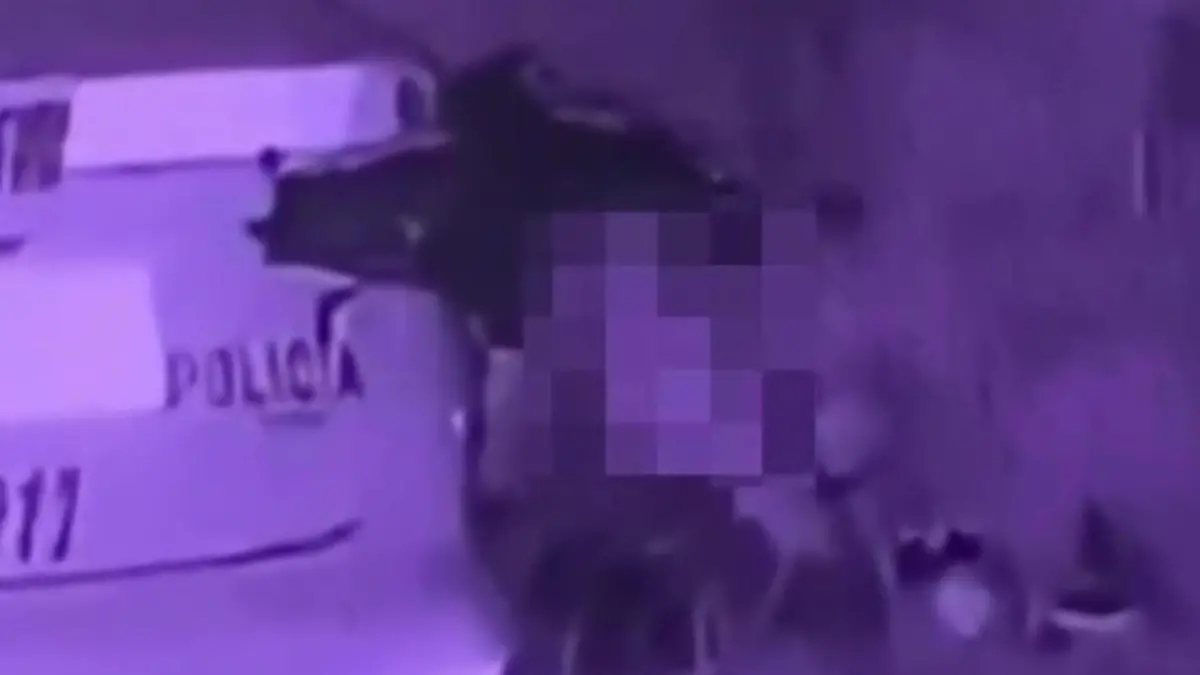 Sex im Dienst! Polizist (22) schiebt Nummer hinter Streifenwagen Aus dem Verkehr gezogen?