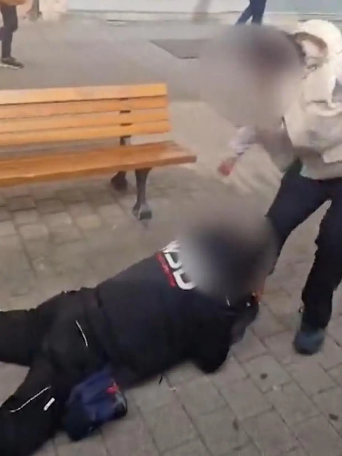 Bild zu: "Schockierende Szenen zeigen Attacke auf Fahrkartenkontrolleur"