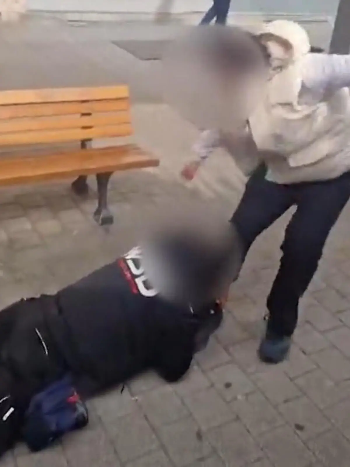 Bild zu: "Schockierende Szenen zeigen Attacke auf Fahrkartenkontrolleur"