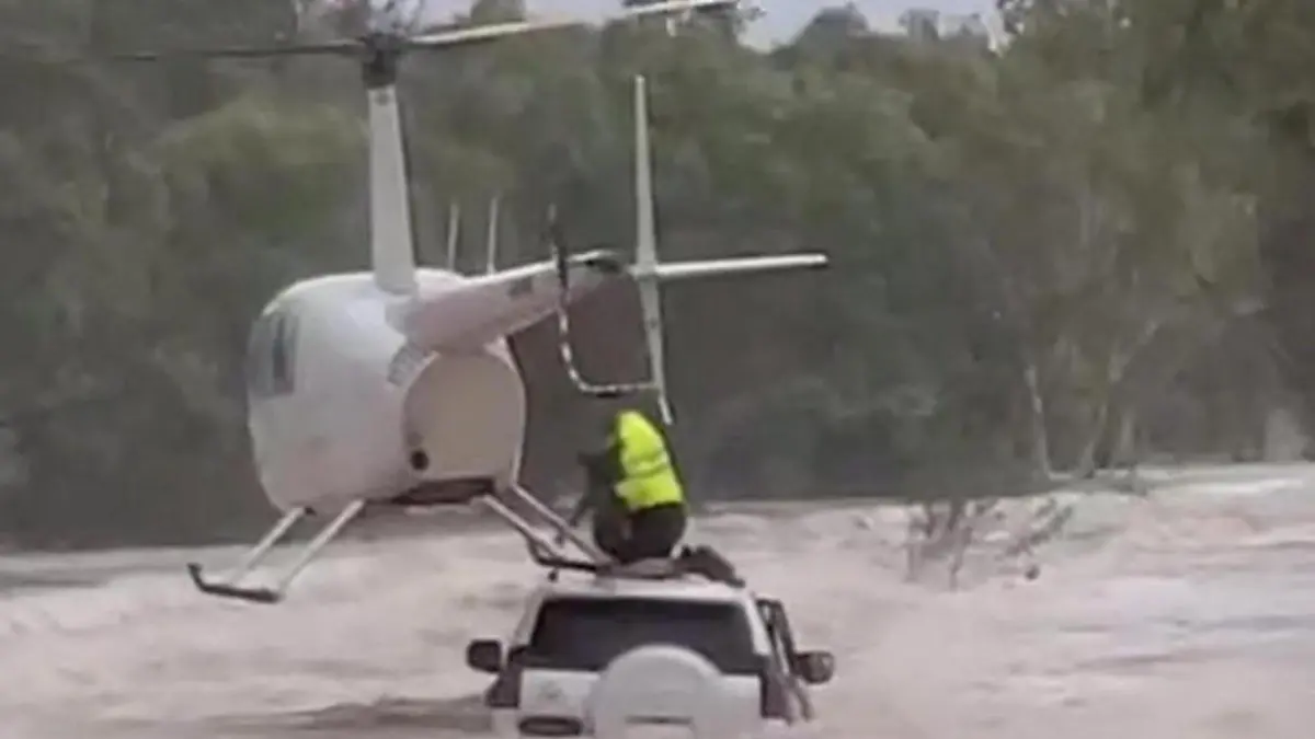 Mega-Manöver von Hubschrauber – um Hund vor sicherem Tod zu retten Von den Fluten eingeschlossen