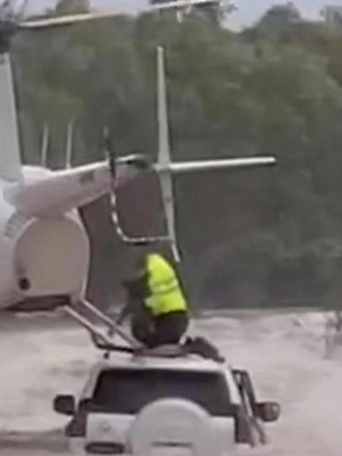 Bild zu: "Mega-Manöver von Hubschrauber – um Hund vor sicherem Tod zu retten"