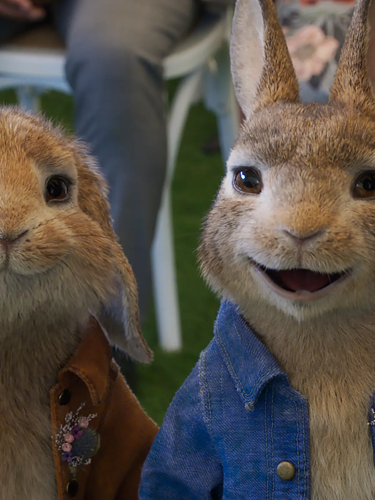 Bild zu: "Hasenspaß, Hochspannung, Herzklopfen: Wir haben euch was ins Osternest gelegt! "