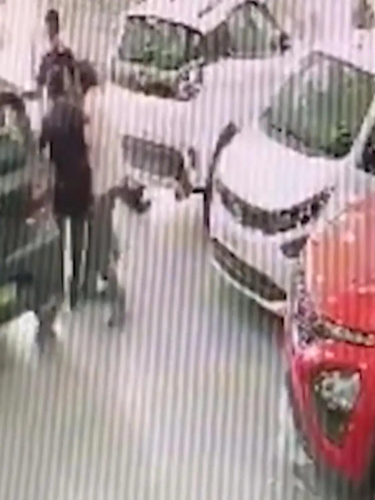 Bild zu: "Bei Übergabe: Besitzer crasht Neuwagen"