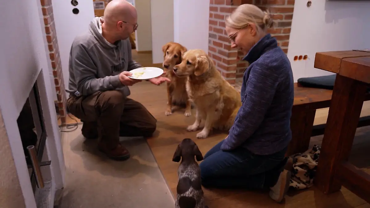 Die erste Nacht ist geschafft: Können für Welpe Mara jetzt die Abenteuer beginnen? Mara ist angekommen